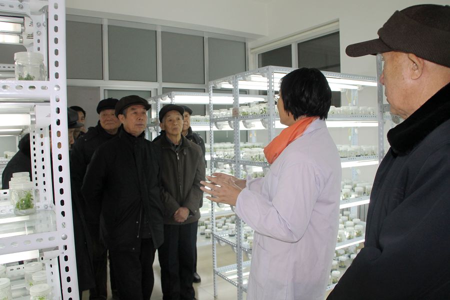 点此在新窗口浏览图片