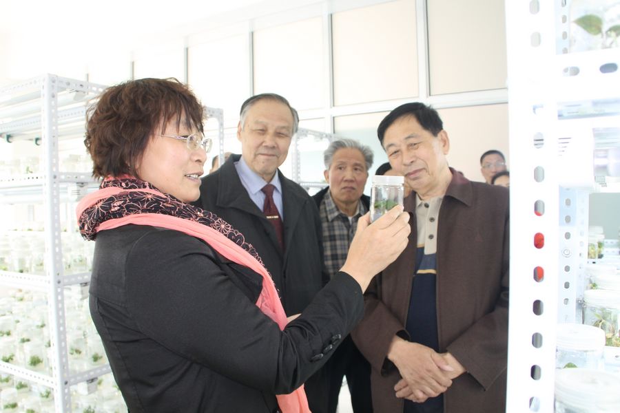 点此在新窗口浏览图片
