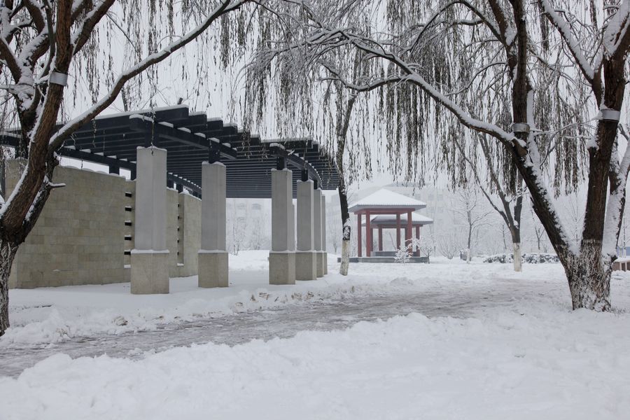 点此在新窗口浏览图片