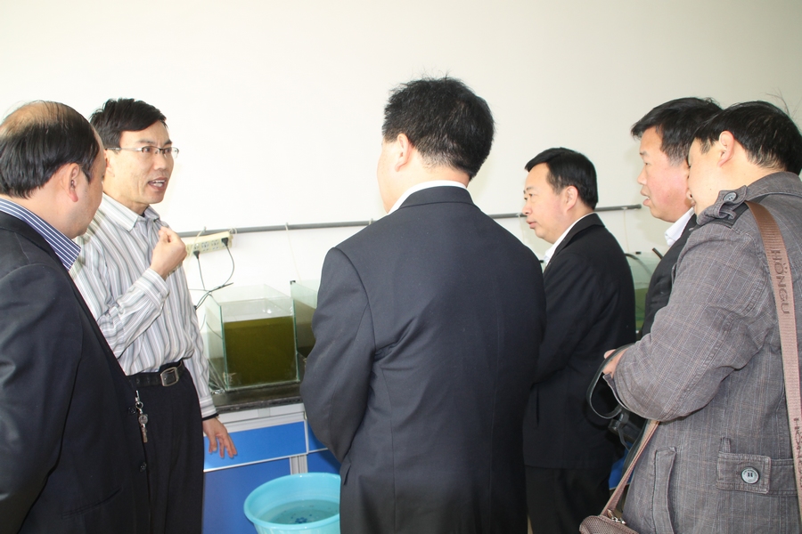 点此在新窗口浏览图片