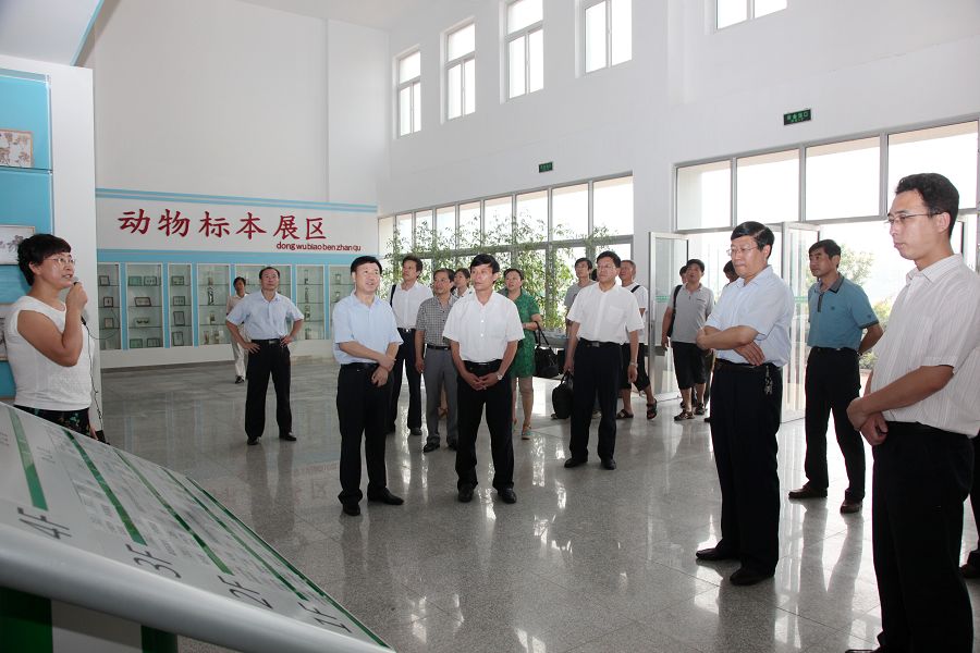点此在新窗口浏览图片