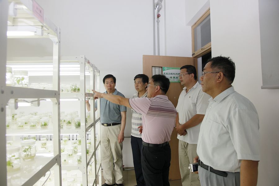 点此在新窗口浏览图片