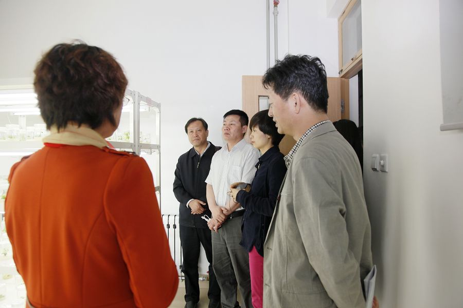 点此在新窗口浏览图片