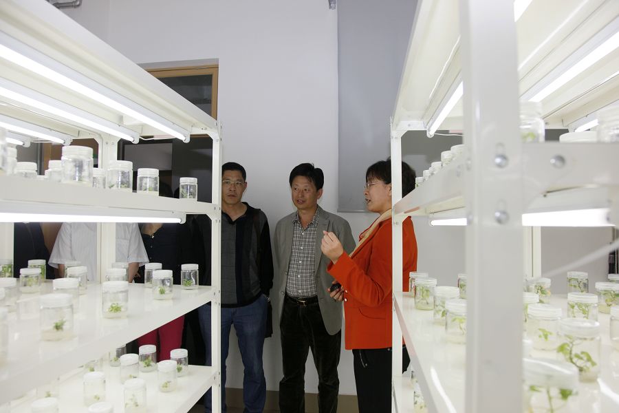 点此在新窗口浏览图片