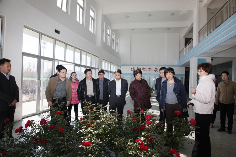 点此在新窗口浏览图片