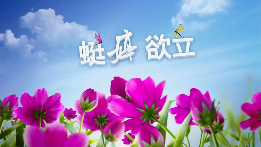 点此在新窗口浏览图片