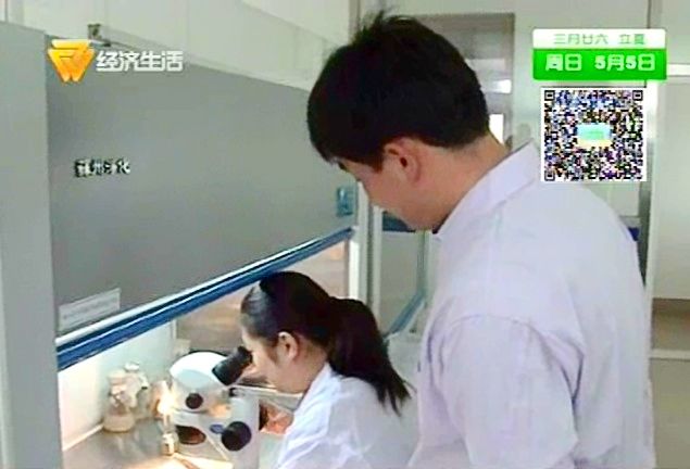 点此在新窗口浏览图片