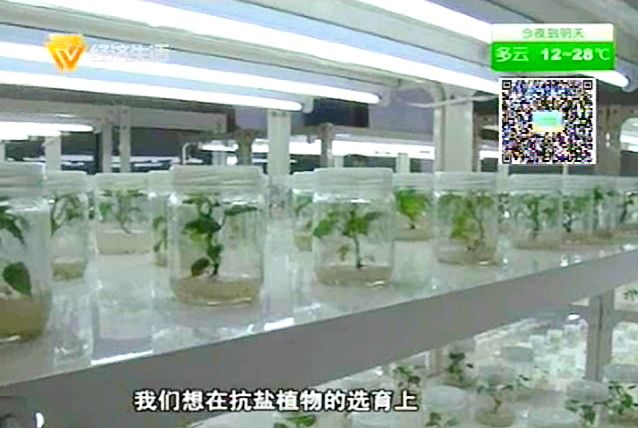点此在新窗口浏览图片