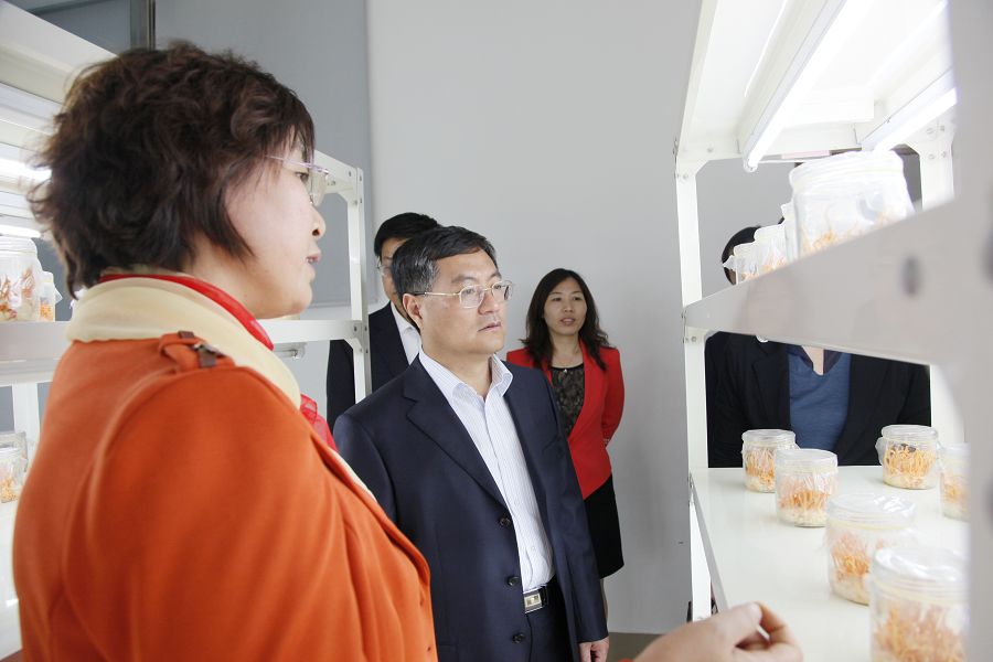 点此在新窗口浏览图片