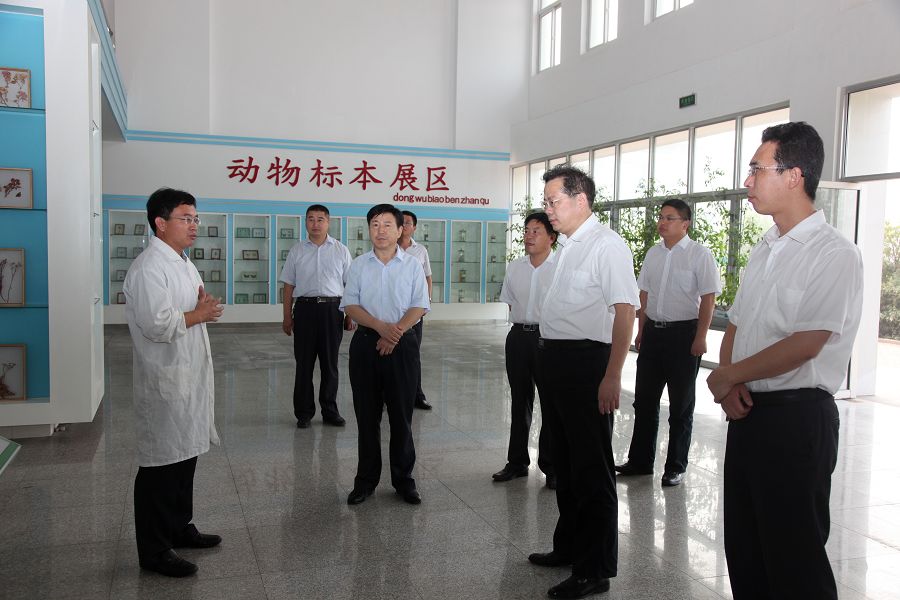 点此在新窗口浏览图片
