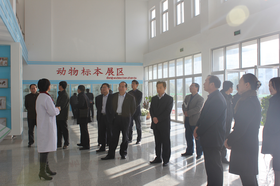 点此在新窗口浏览图片