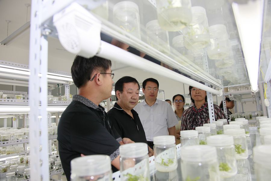 点此在新窗口浏览图片