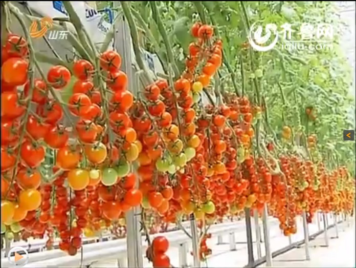 点此在新窗口浏览图片