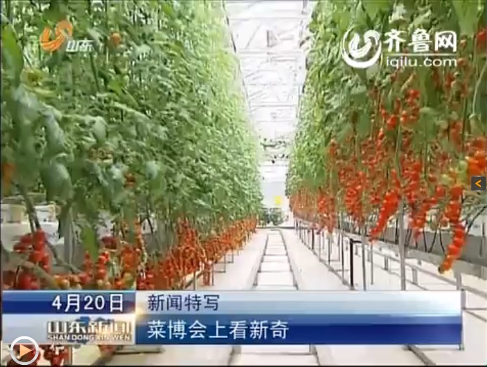 点此在新窗口浏览图片