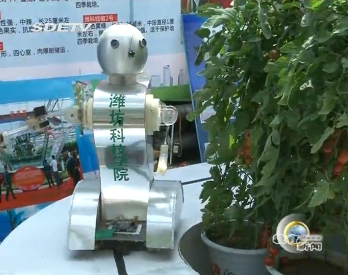 点此在新窗口浏览图片